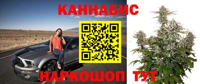 дмт Будённовск