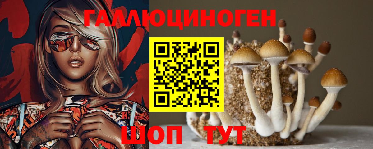 Петропавловск-Камчатский  Псилоцибиновые грибы мухоморы  Галлюциногенные грибы Psilocybine cubensis  Вход с VPN 